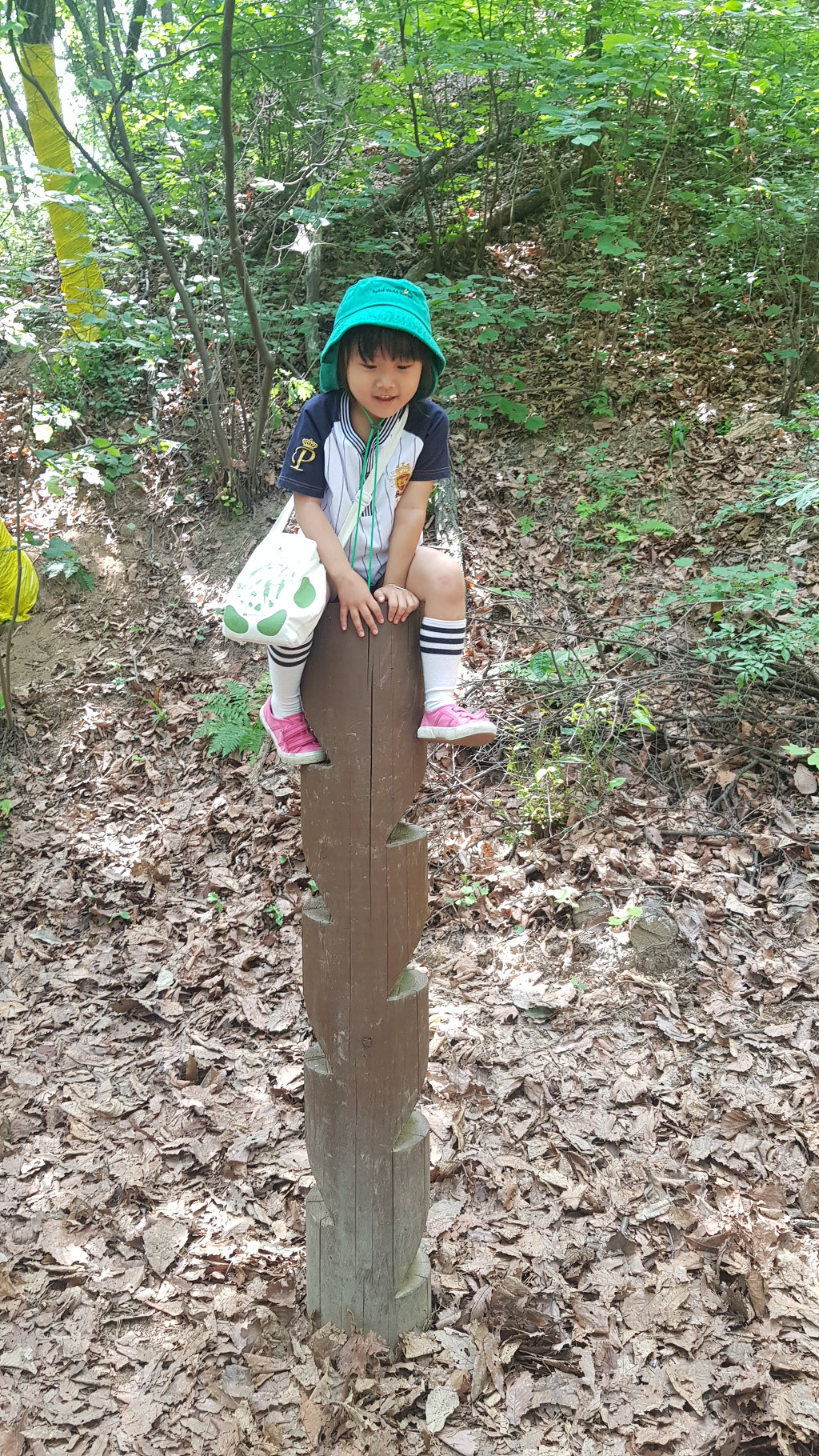 청사초롱 유아숲체험원 이미지