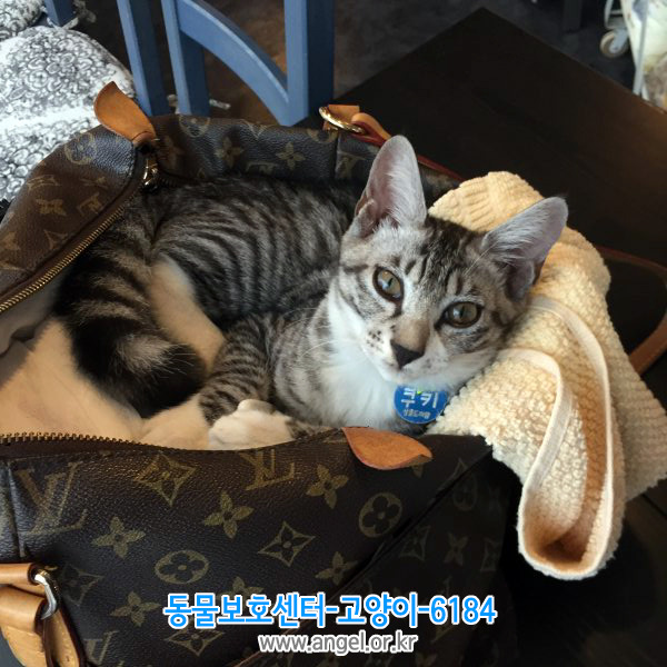 살롱드리엘 이미지