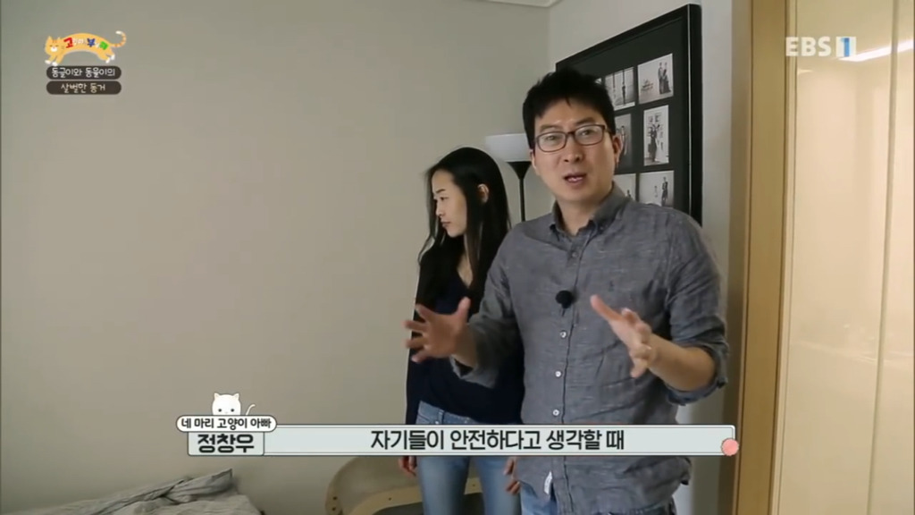 세상에 나쁜 개는 없다 vs 고양이를 부탁해 차이.jpg | 인스티즈