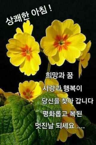한빛은행 이미지