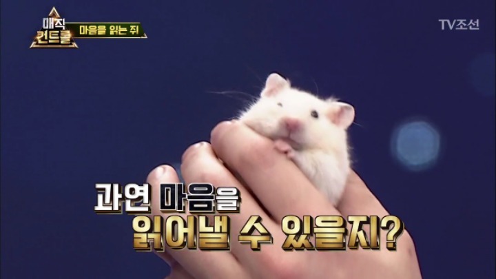 최현우 마음을 읽는 쥐 | 인스티즈