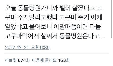 고구마 시즌.jpg | 인스티즈
