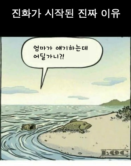 진화가 시작된 진짜 이유 | 인스티즈