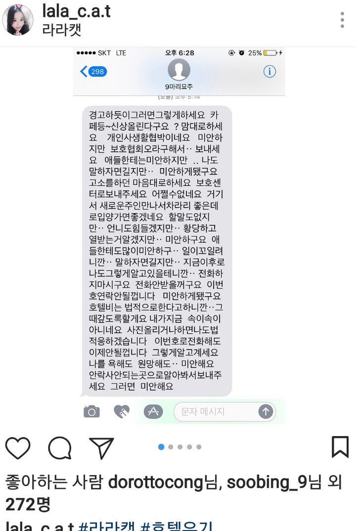 고양이 호텔에 고양이 9마리 유기 | 인스티즈