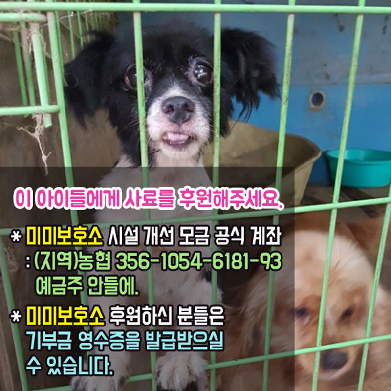 미미디자인 이미지