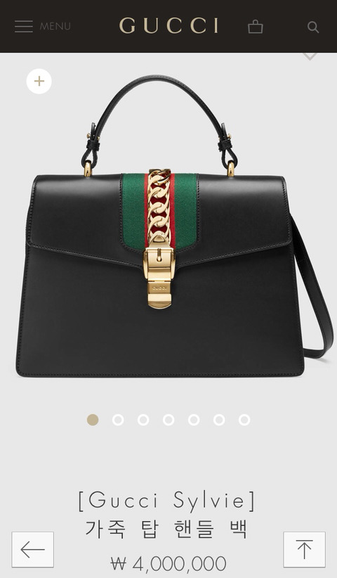 인간 구찌가 되려면 얼마가 드는지 알아보자 | 인스티즈