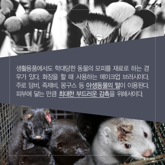 일상에 스며든 동물학대 생산품들 | 인스티즈