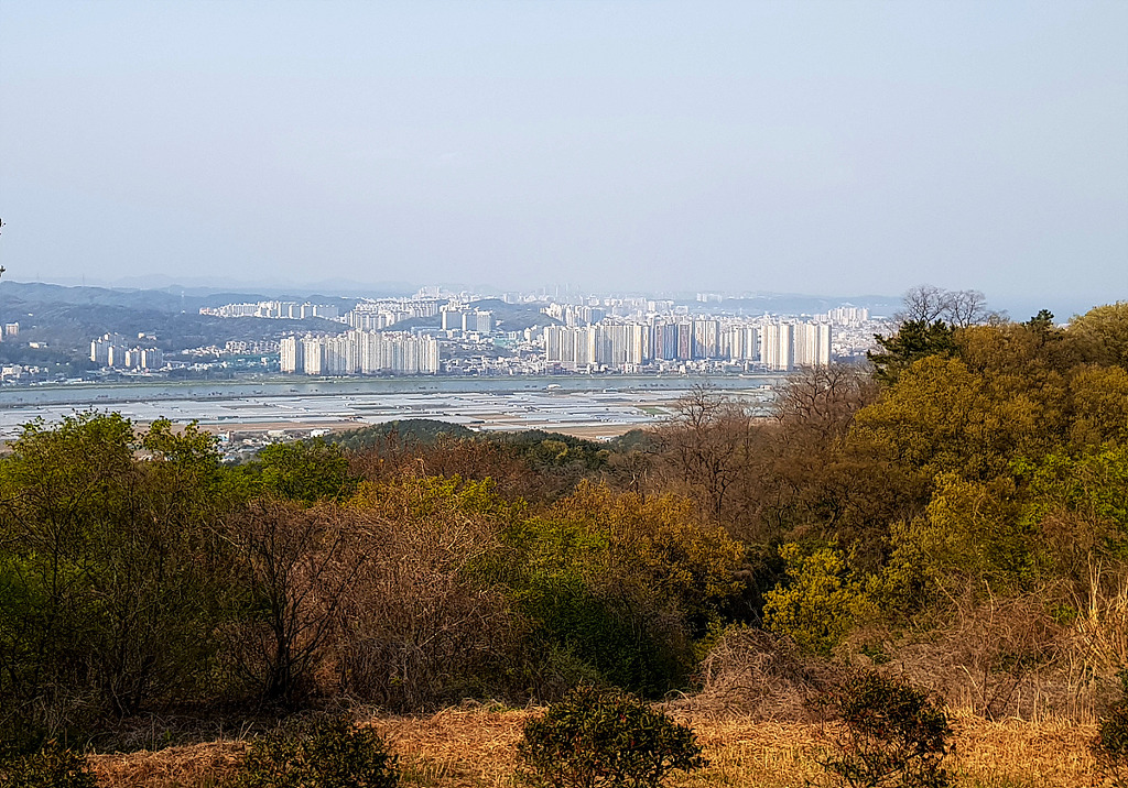 해맞이전망대 이미지
