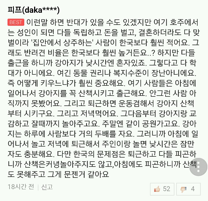 반려동물을 혼자 장시간 오래두려거든 입양은 자제하자 는 마인드를 다시 돌아보게된 웹툰 댓글 | 인스티즈