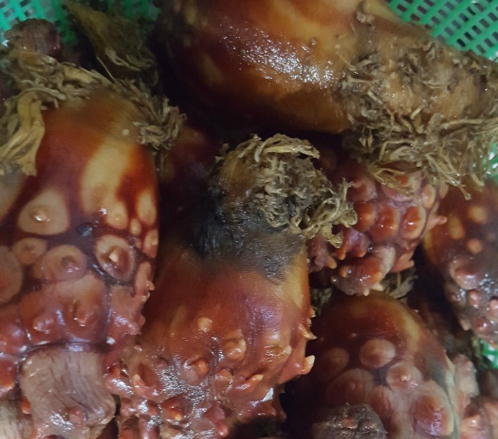 부산멍게 이미지
