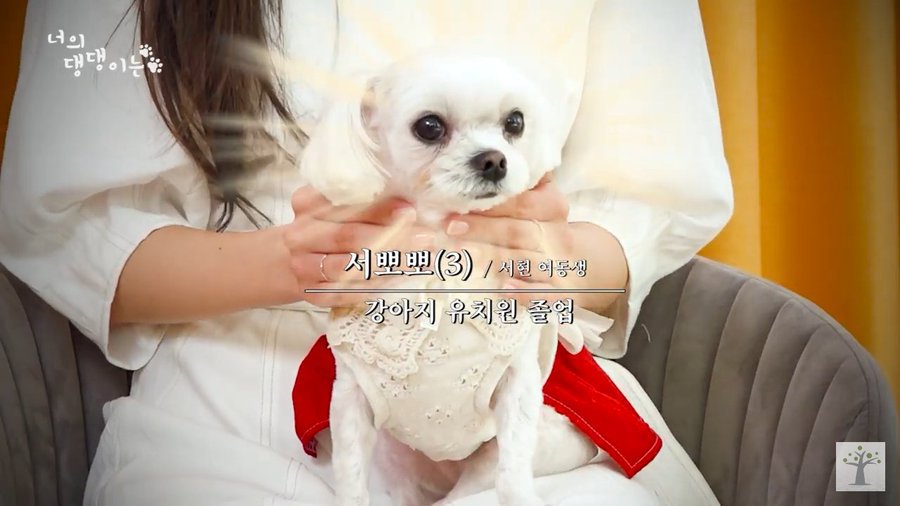 99E18A455E97203F241D7F