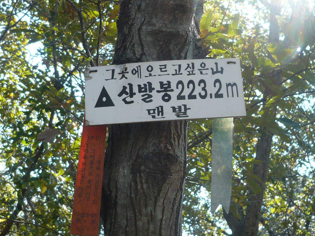 휴멘 이미지