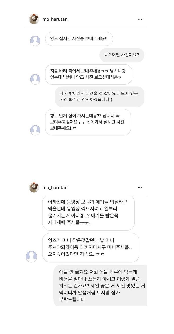 인스타 유명 고양이 주인이 받는 DM | 인스티즈