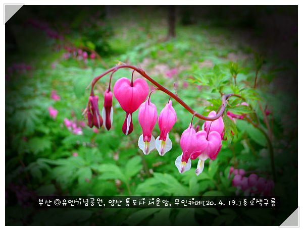 카페유엔 이미지