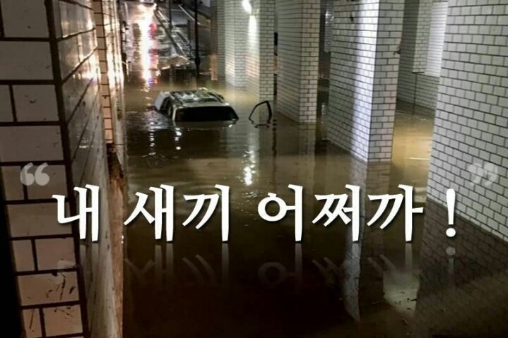 LG 의인상 한명 추가 | 인스티즈