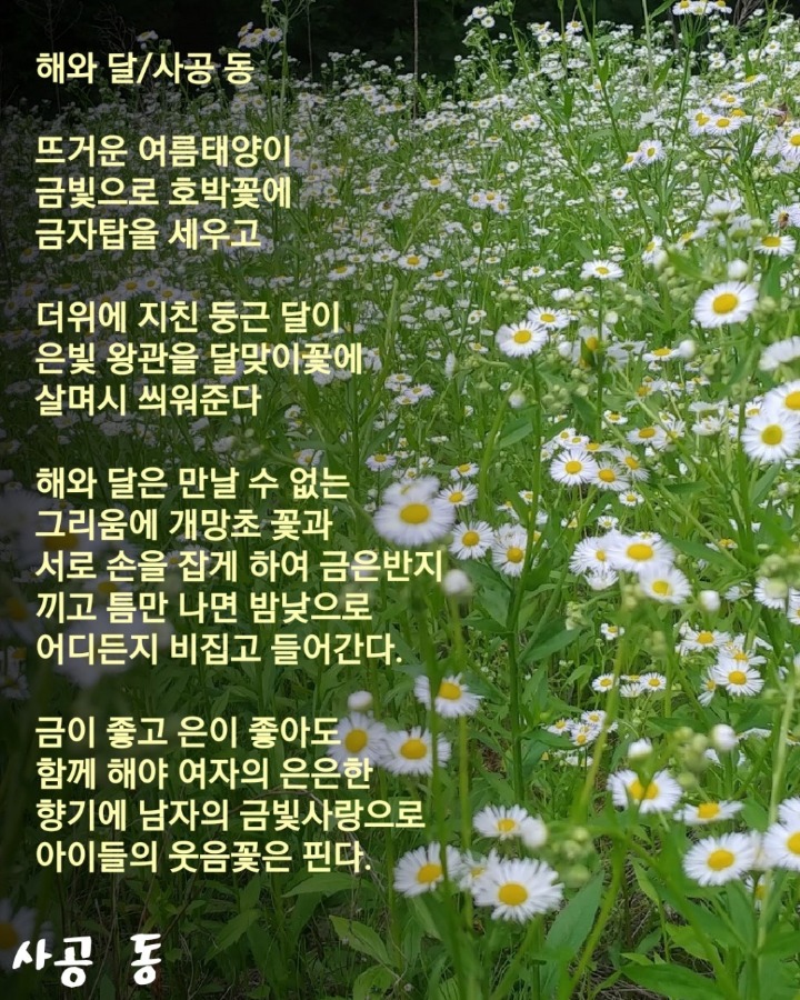 해와달 이미지
