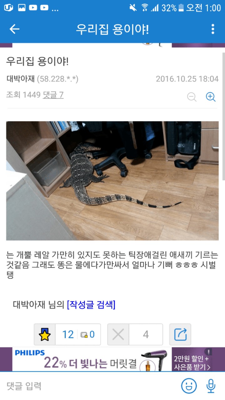 집에서 왕도마뱀 키우는 디씨인.jpg | 인스티즈