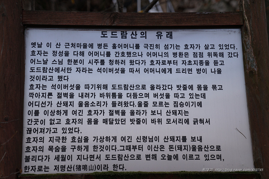 부학루 이미지
