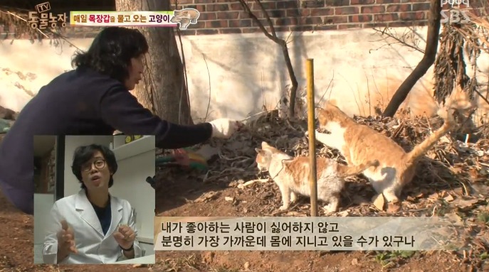 고양이... 지능 수준... | 인스티즈