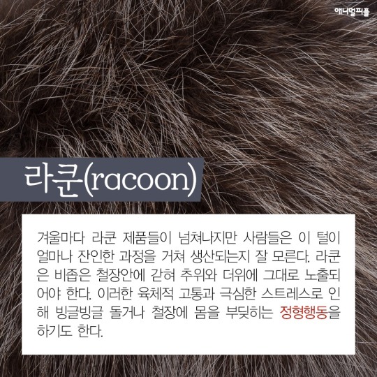 일상에 스며든 동물학대 생산품들 | 인스티즈