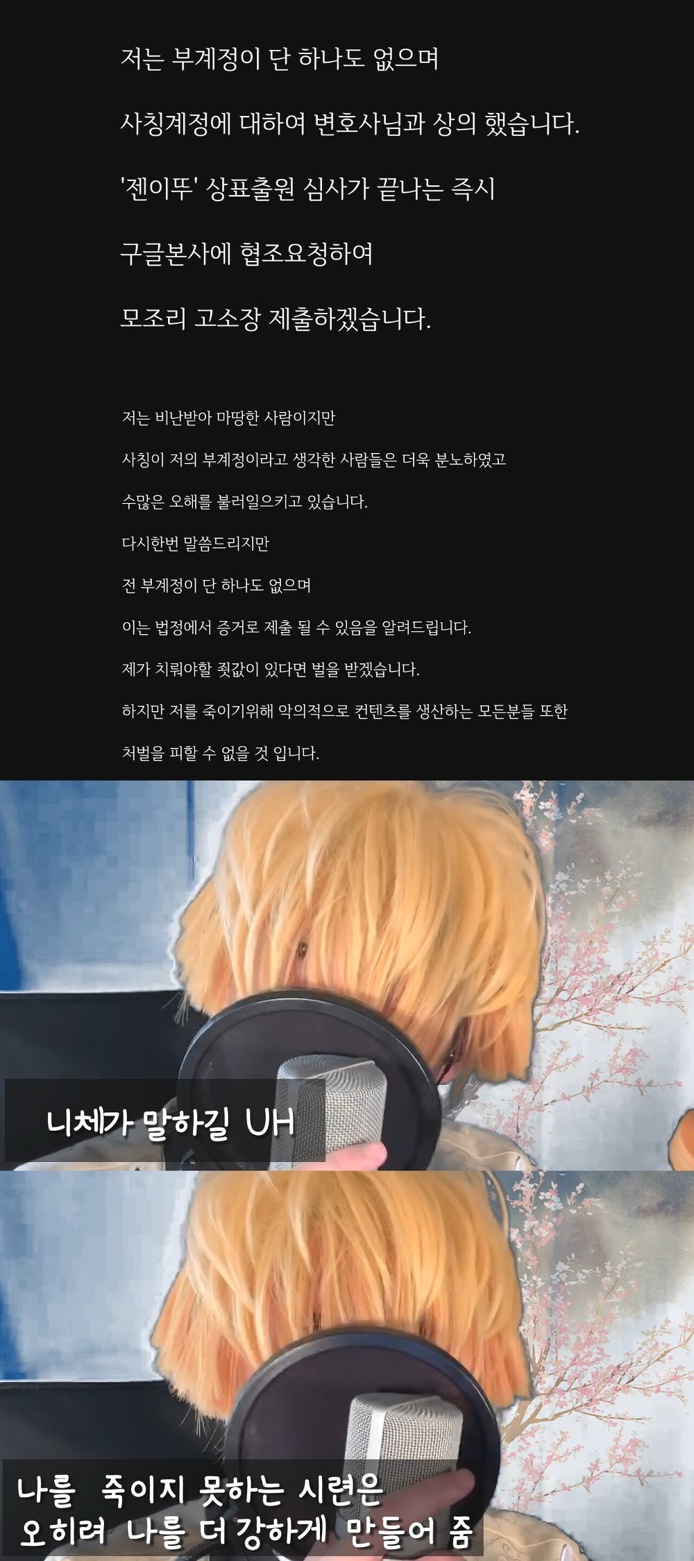아임뚜렛 근황 (사칭계정에 대하여 고소장 제출) | 인스티즈