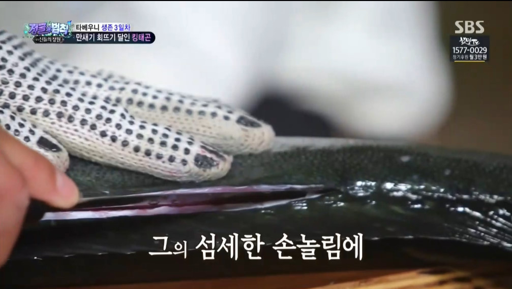 오늘자 정글의법칙 이태곤 회뜨기 클라스 | 인스티즈