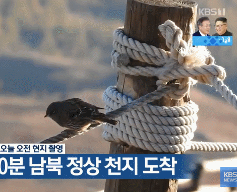 오늘자 백두산.GIF | 인스티즈