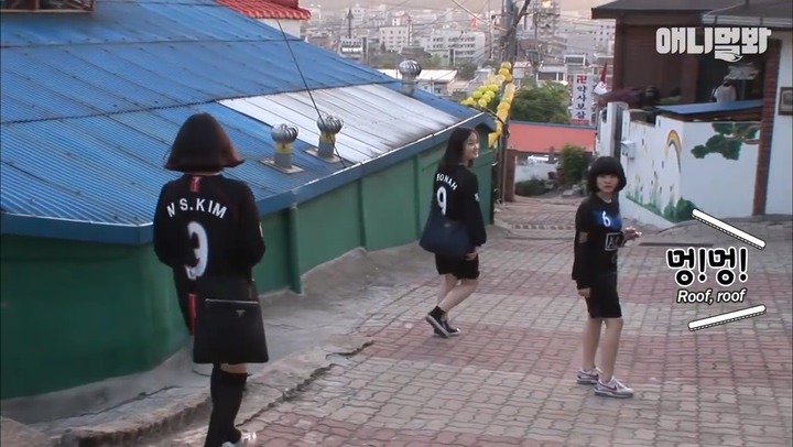 모른척 지나가면 짖는 삼식이.jpg | 인스티즈