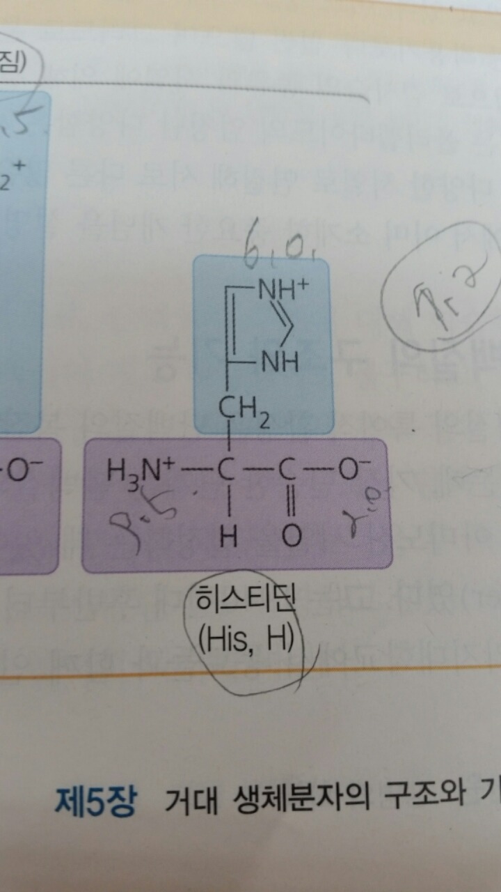 히스티딘의 적정 곡선