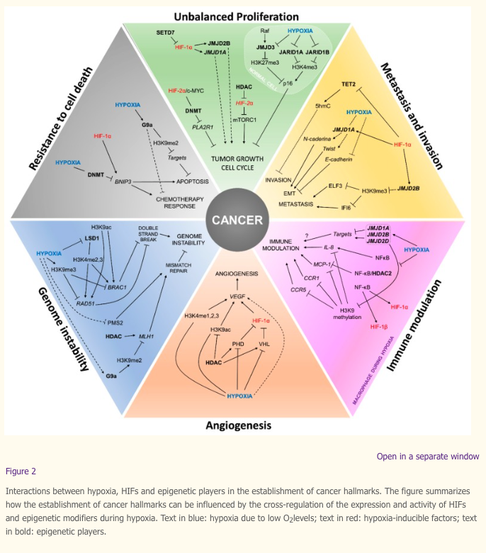Re:The role of hypoxia in cancer progression, angiogenesis, metastasis ...